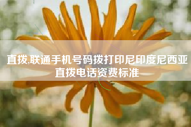 直拨,联通手机号码拨打印尼印度尼西亚直拨电话资费标准