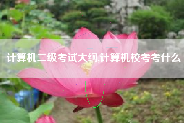 计算机二级考试大纲,计算机校考考什么