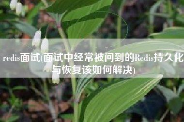 redis面试(面试中经常被问到的Redis持久化与恢复该如何解决)