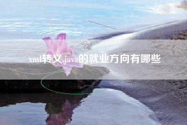 xml转义,java的就业方向有哪些