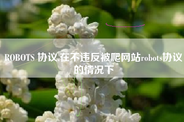 ROBOTS 协议,在不违反被爬网站robots协议的情况下