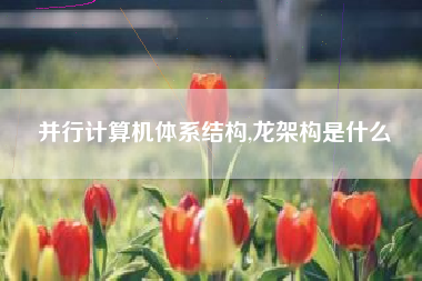 并行计算机体系结构,龙架构是什么