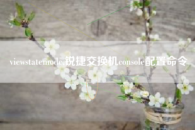 viewstatemode,锐捷交换机console配置命令