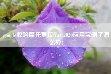google收购摩托罗拉(razr2020应用宝删了怎么办)