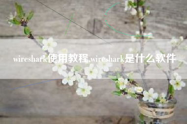 wireshark使用教程,wireshark是什么软件