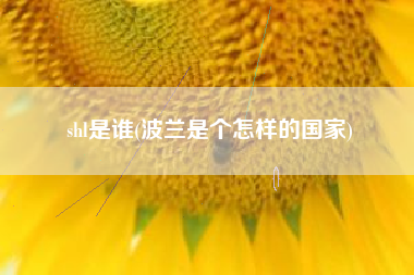 shl是谁(波兰是个怎样的国家)