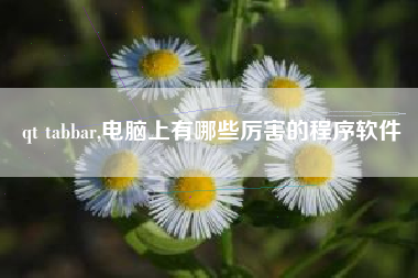 qt tabbar,电脑上有哪些厉害的程序软件
