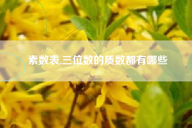 素数表,三位数的质数都有哪些