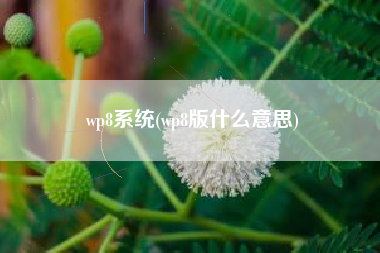 wp8系统(wp8版什么意思)