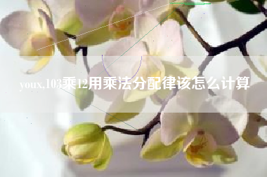 youx,103乘12用乘法分配律该怎么计算