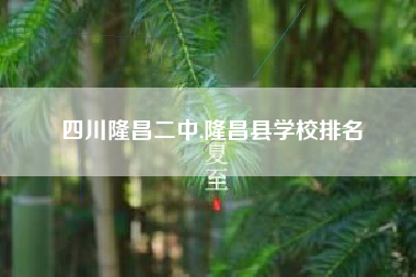 四川隆昌二中,隆昌县学校排名