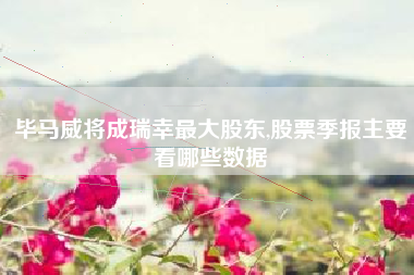毕马威将成瑞幸最大股东,股票季报主要看哪些数据