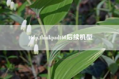 t61p,thinkpadt60后续机型