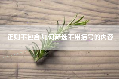 正则不包含,如何筛选不带括号的内容