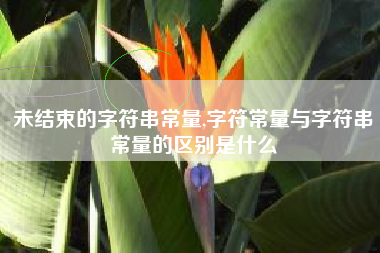 未结束的字符串常量,字符常量与字符串常量的区别是什么