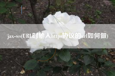 jax-ws(URL时输入https协议的url如何做)