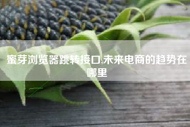 蜜芽浏览器跳转接口,未来电商的趋势在哪里