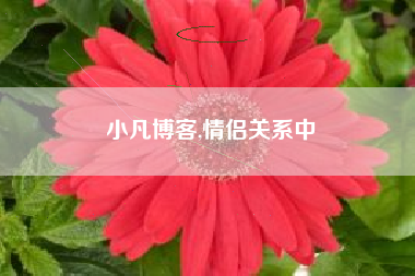 小凡博客,情侣关系中