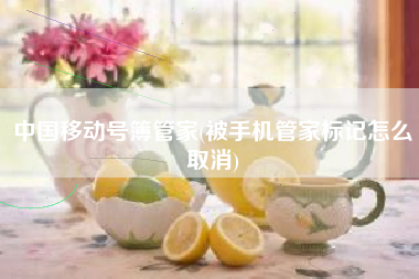 中国移动号簿管家(被手机管家标记怎么取消)