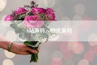 h站源码,rsi公式源码