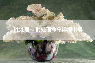 批处理for,批处理命令详细讲解