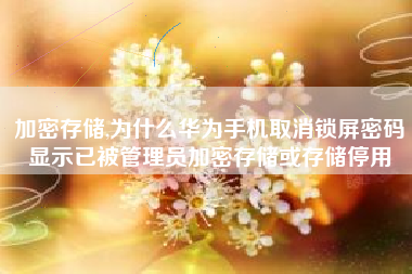 加密存储,为什么华为手机取消锁屏密码显示已被管理员加密存储或存储停用