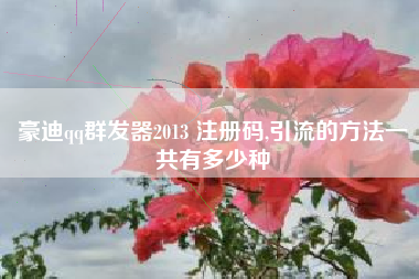 豪迪qq群发器2013 注册码,引流的方法一共有多少种