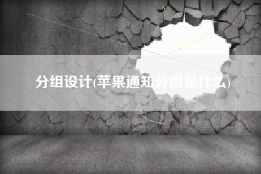 分组设计(苹果通知分组是什么)