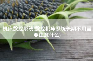 机床数控系统(数控机床系统长期不用需要注意什么)