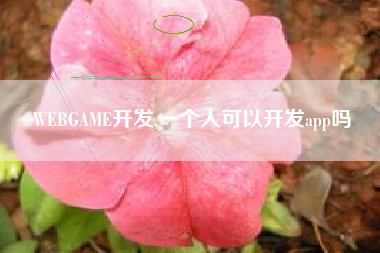 WEBGAME开发,一个人可以开发app吗