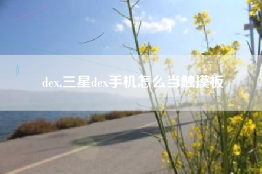 dex,三星dex手机怎么当触摸板