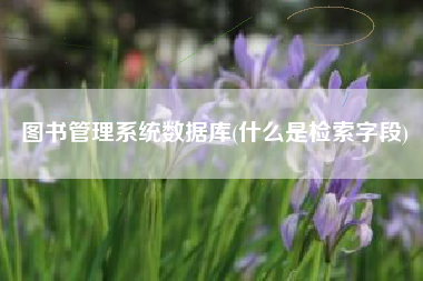 图书管理系统数据库(什么是检索字段)