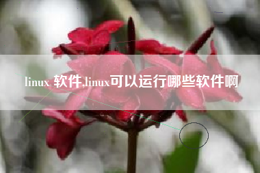 linux 软件,linux可以运行哪些软件啊