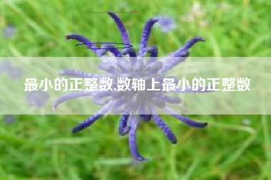 最小的正整数,数轴上最小的正整数