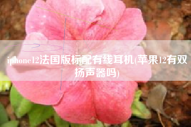 iphone12法国版标配有线耳机(苹果12有双扬声器吗)