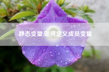 静态变量,如何定义成员变量