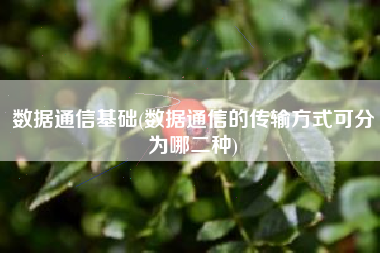 数据通信基础(数据通信的传输方式可分为哪二种)