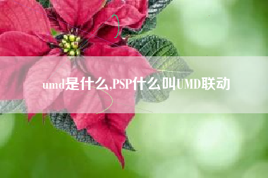 umd是什么,PSP什么叫UMD联动