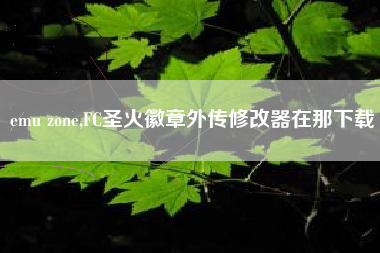 emu zone,FC圣火徽章外传修改器在那下载