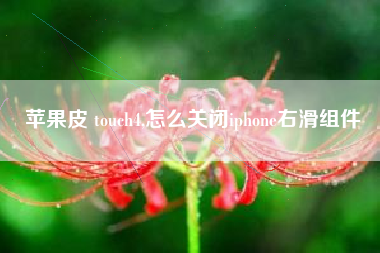 苹果皮 touch4,怎么关闭iphone右滑组件