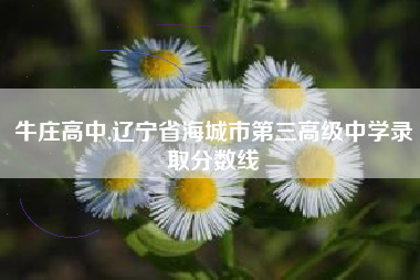 牛庄高中,辽宁省海城市第三高级中学录取分数线