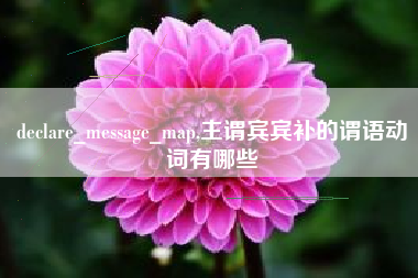 declare_message_map,主谓宾宾补的谓语动词有哪些