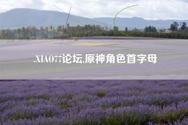 .XIAO77论坛,原神角色首字母