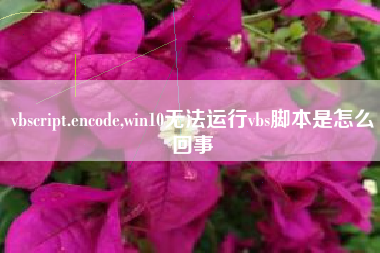 vbscript.encode,win10无法运行vbs脚本是怎么回事