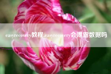easyrecovery教程,easyrecovery会泄露数据吗