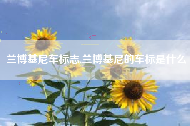 兰博基尼车标志,兰博基尼的车标是什么
