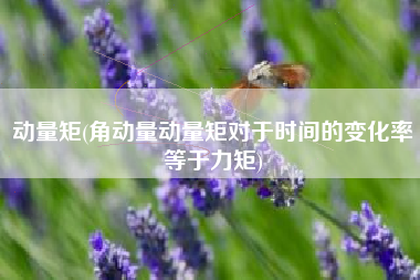 动量矩(角动量动量矩对于时间的变化率等于力矩)