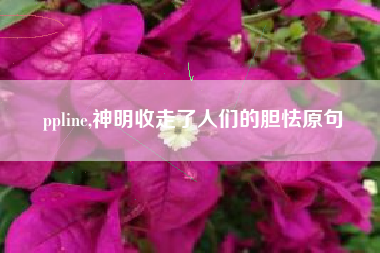 ppline,神明收走了人们的胆怯原句