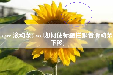excel滚动条(excel如何使标题栏跟着滑动条下移)