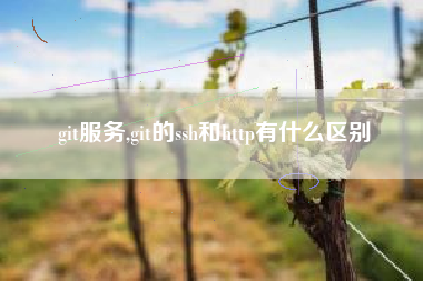 git服务,git的ssh和http有什么区别